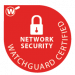Network_Security_Badge